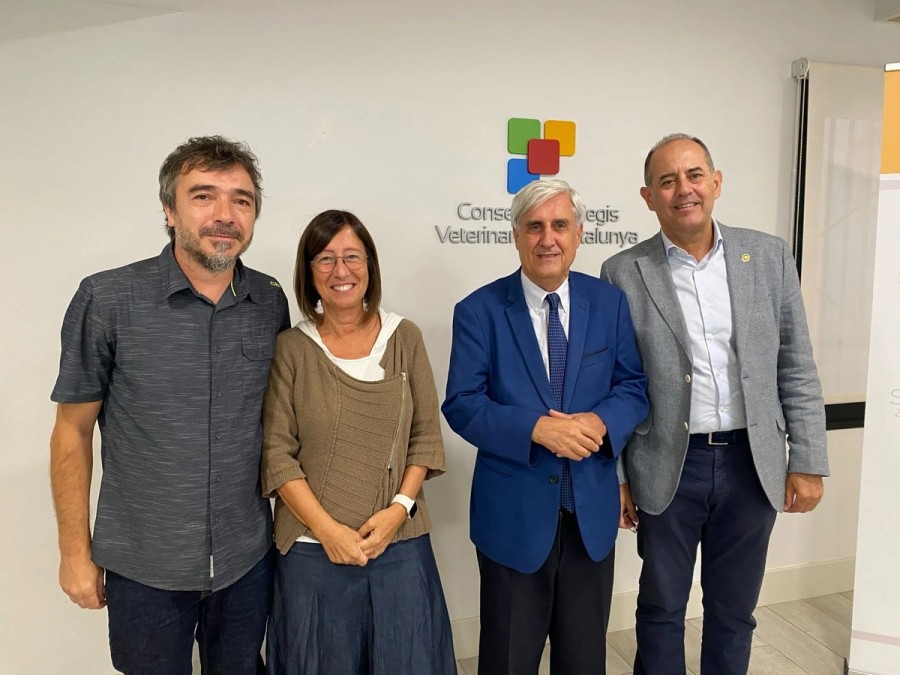 rabia cataluña